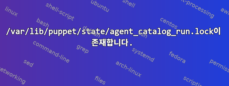 /var/lib/puppet/state/agent_catalog_run.lock이 존재합니다.