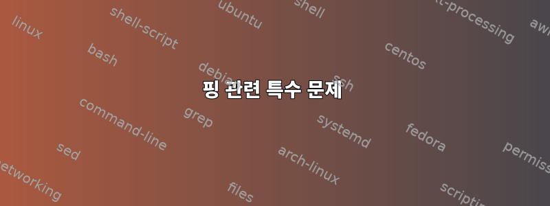 핑 관련 특수 문제