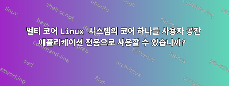 멀티 코어 Linux 시스템의 코어 하나를 사용자 공간 애플리케이션 전용으로 사용할 수 있습니까?