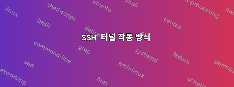 SSH 터널 작동 방식