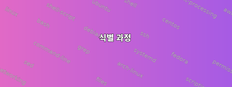 식별 과정