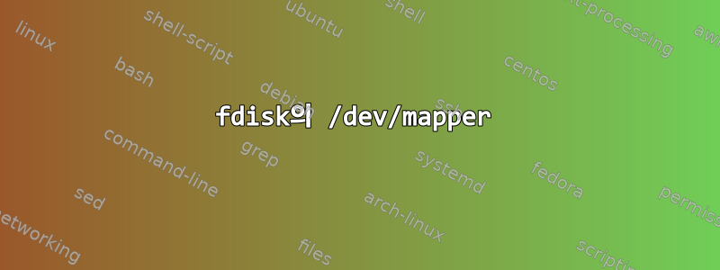 fdisk의 /dev/mapper