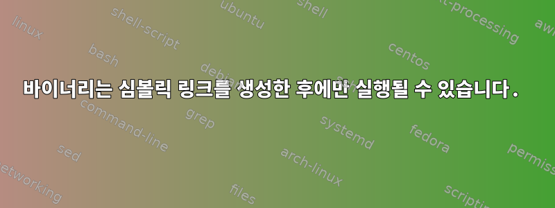 바이너리는 심볼릭 링크를 생성한 후에만 실행될 수 있습니다.