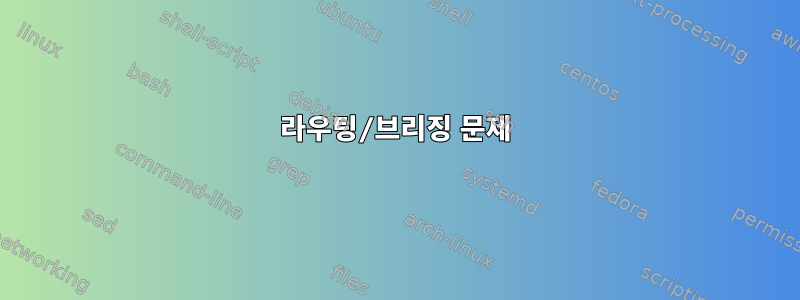 라우팅/브리징 문제