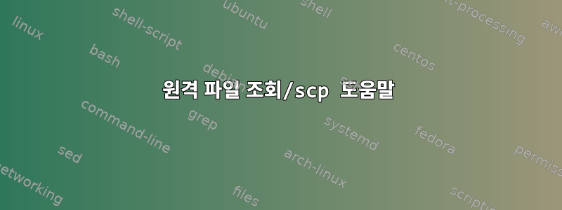 원격 파일 조회/scp 도움말