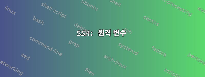 SSH: 원격 변수