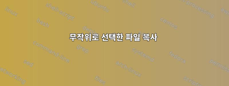 무작위로 선택한 파일 복사