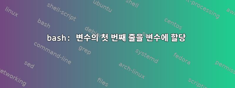 bash: 변수의 첫 번째 줄을 변수에 할당