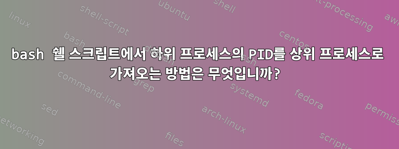 bash 쉘 스크립트에서 하위 프로세스의 PID를 상위 프로세스로 가져오는 방법은 무엇입니까?