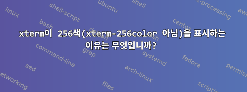 xterm이 256색(xterm-256color 아님)을 표시하는 이유는 무엇입니까?