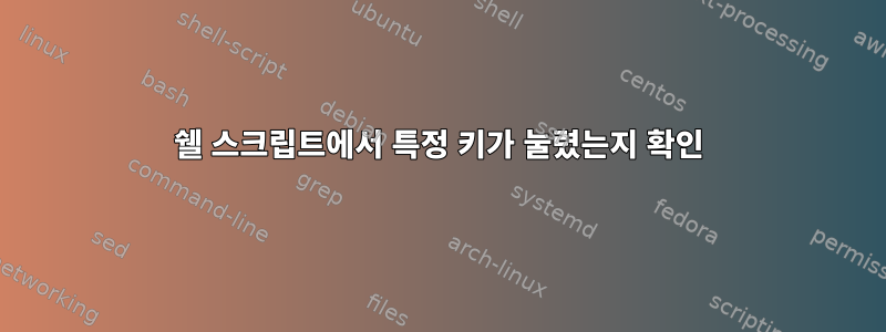 쉘 스크립트에서 특정 키가 눌렸는지 확인