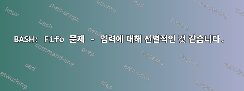 BASH: Fifo 문제 - 입력에 대해 선별적인 것 같습니다.