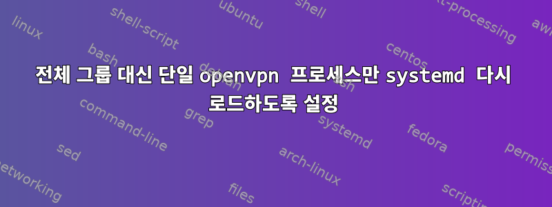 전체 그룹 대신 단일 openvpn 프로세스만 systemd 다시 로드하도록 설정