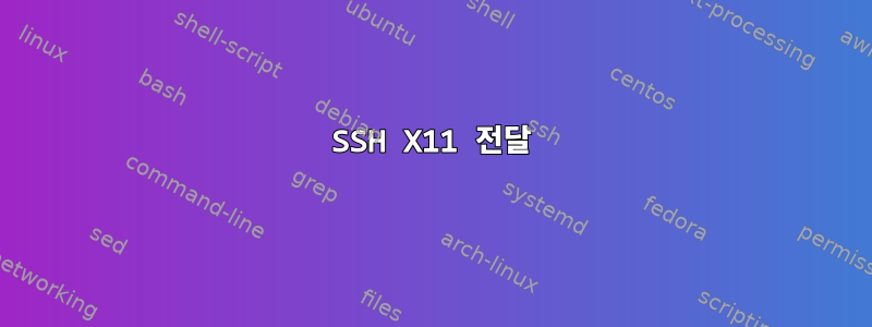 SSH X11 전달