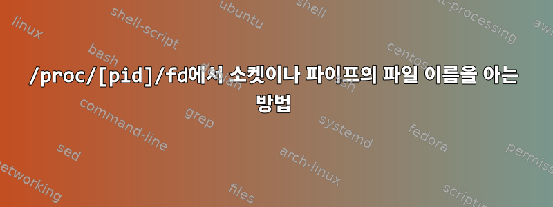 /proc/[pid]/fd에서 소켓이나 파이프의 파일 이름을 아는 방법