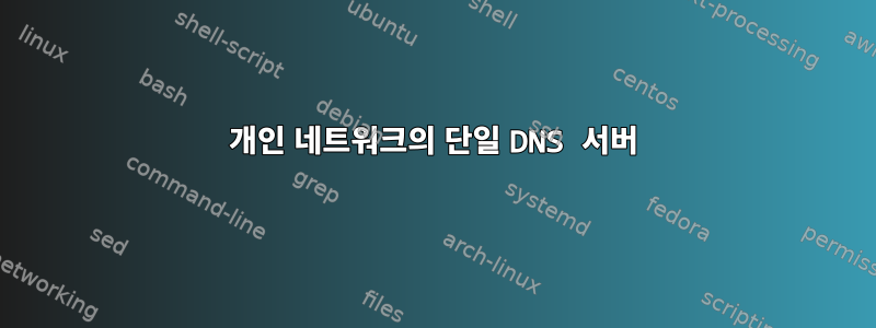 개인 네트워크의 단일 DNS 서버