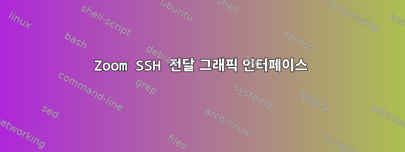 Zoom SSH 전달 그래픽 인터페이스