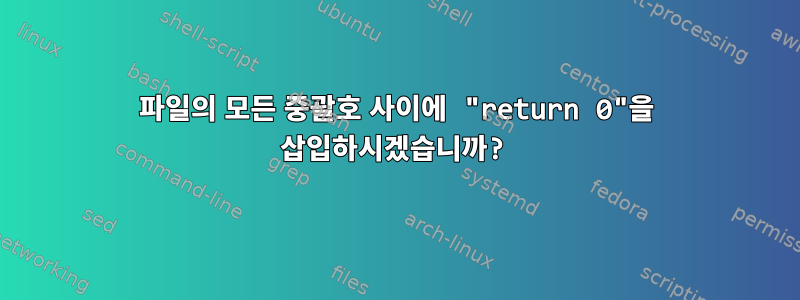 파일의 모든 중괄호 사이에 "return 0"을 삽입하시겠습니까?