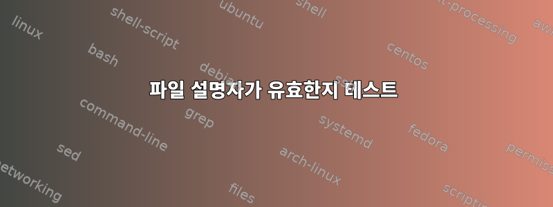 파일 설명자가 유효한지 테스트