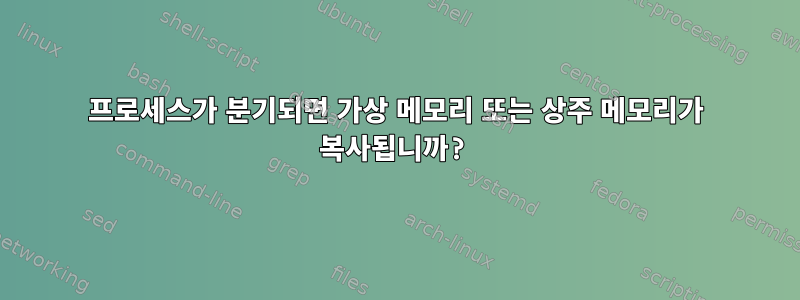 프로세스가 분기되면 가상 메모리 또는 상주 메모리가 복사됩니까?