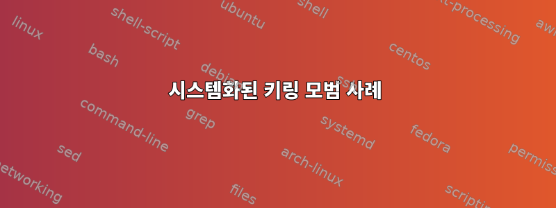 시스템화된 키링 모범 사례