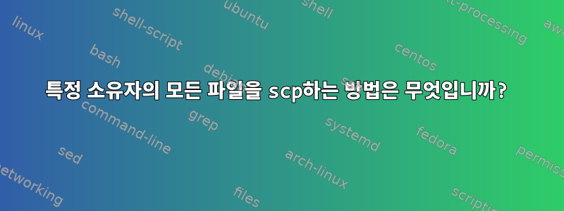 특정 소유자의 모든 파일을 scp하는 방법은 무엇입니까?