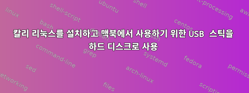 칼리 리눅스를 설치하고 맥북에서 사용하기 위한 USB 스틱을 하드 디스크로 사용