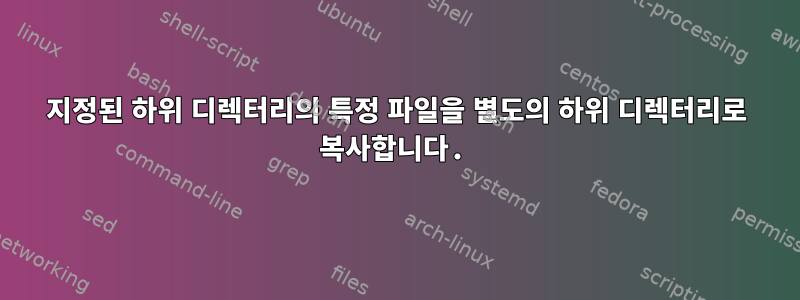 지정된 하위 디렉터리의 특정 파일을 별도의 하위 디렉터리로 복사합니다.