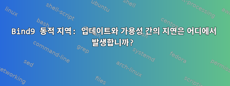 Bind9 동적 지역: 업데이트와 가용성 간의 지연은 어디에서 발생합니까?