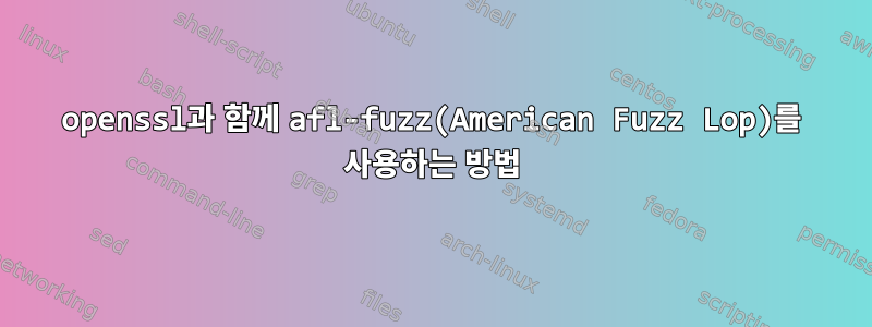 openssl과 함께 afl-fuzz(American Fuzz Lop)를 사용하는 방법