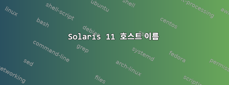 Solaris 11 호스트 이름