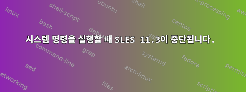 시스템 명령을 실행할 때 SLES 11.3이 중단됩니다.