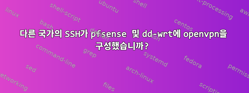 다른 국가의 SSH가 pfsense 및 dd-wrt에 openvpn을 구성했습니까?