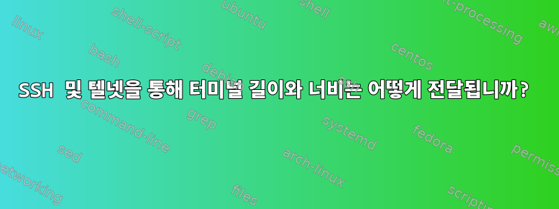 SSH 및 텔넷을 통해 터미널 길이와 너비는 어떻게 전달됩니까?