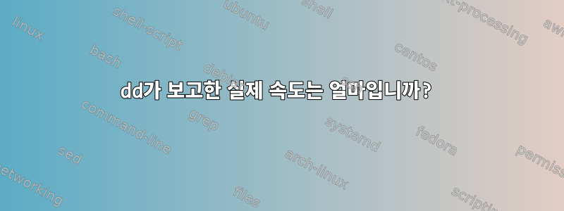 dd가 보고한 실제 속도는 얼마입니까?