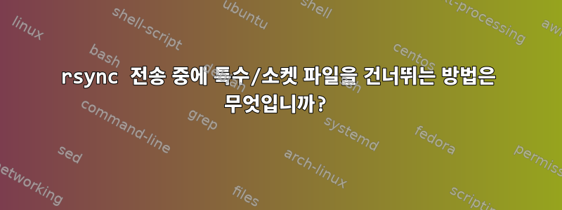 rsync 전송 중에 특수/소켓 파일을 건너뛰는 방법은 무엇입니까?