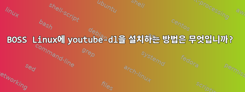 BOSS Linux에 youtube-dl을 설치하는 방법은 무엇입니까?