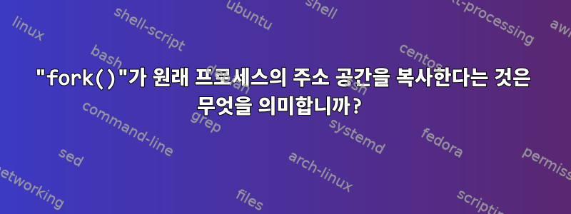 "fork()"가 원래 프로세스의 주소 공간을 복사한다는 것은 무엇을 의미합니까?