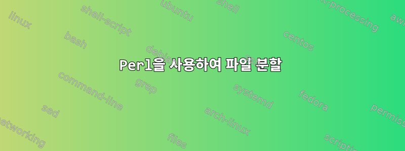 Perl을 사용하여 파일 분할