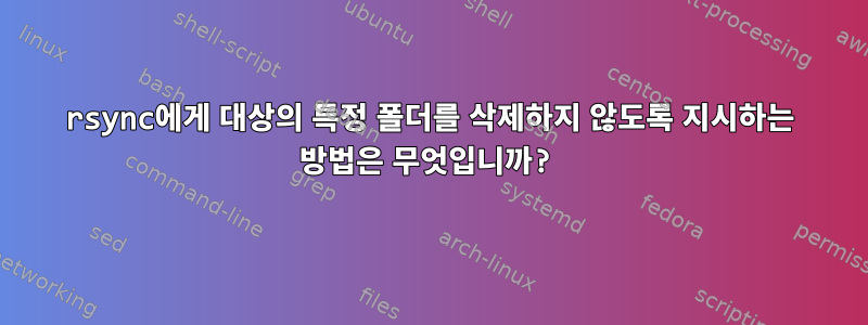 rsync에게 대상의 특정 폴더를 삭제하지 않도록 지시하는 방법은 무엇입니까?