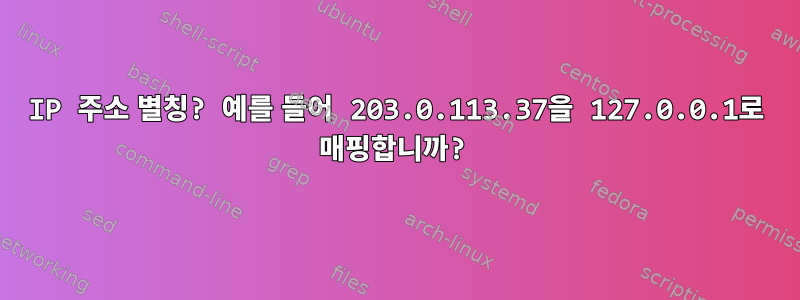 IP 주소 별칭? 예를 들어 203.0.113.37을 127.0.0.1로 매핑합니까?