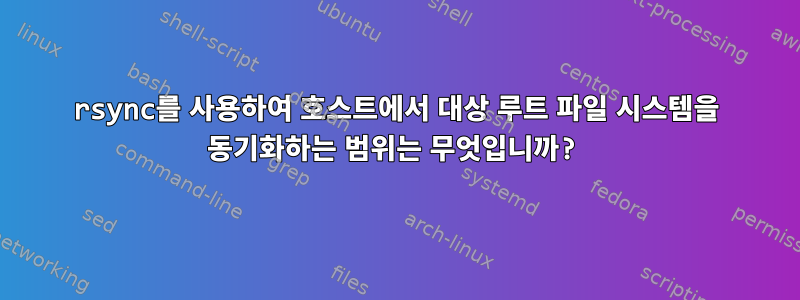 rsync를 사용하여 호스트에서 대상 루트 파일 시스템을 동기화하는 범위는 무엇입니까?