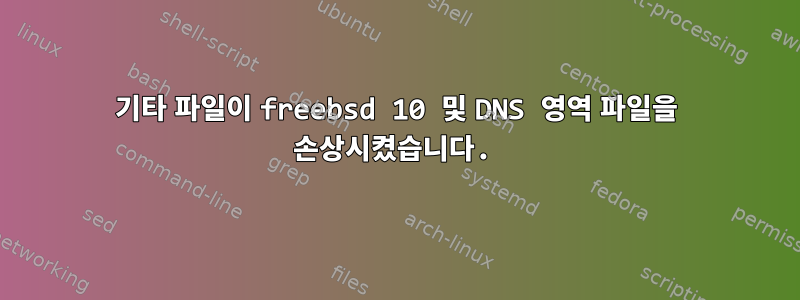 기타 파일이 freebsd 10 및 DNS 영역 파일을 손상시켰습니다.