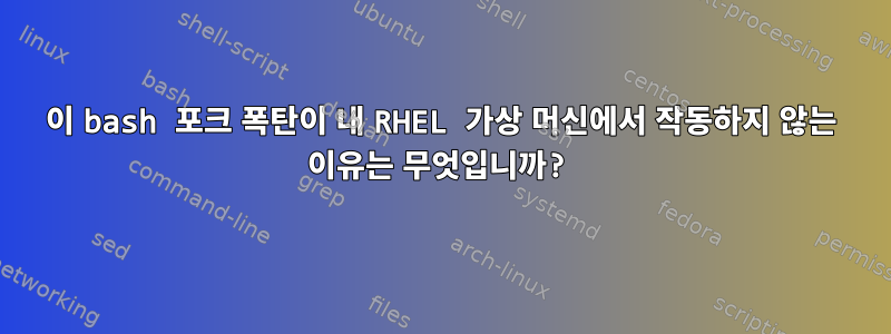 이 bash 포크 폭탄이 내 RHEL 가상 머신에서 작동하지 않는 이유는 무엇입니까?