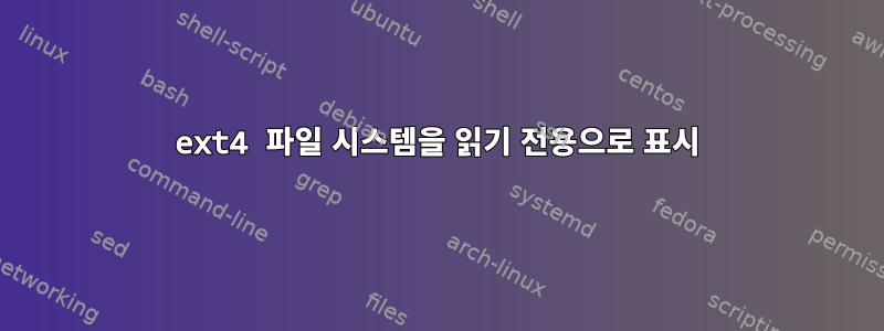 ext4 파일 시스템을 읽기 전용으로 표시