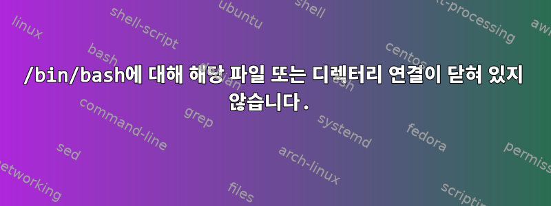 /bin/bash에 대해 해당 파일 또는 디렉터리 연결이 닫혀 있지 않습니다.