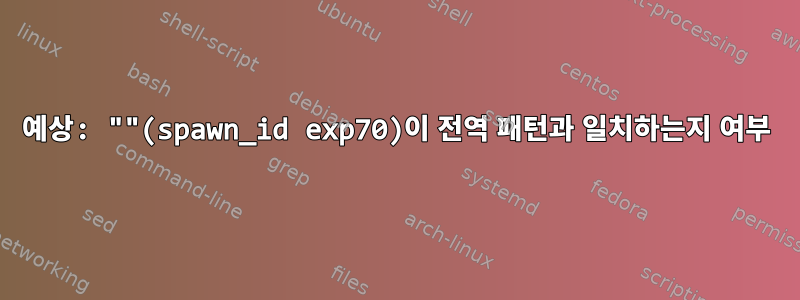 예상: ""(spawn_id exp70)이 전역 패턴과 일치하는지 여부