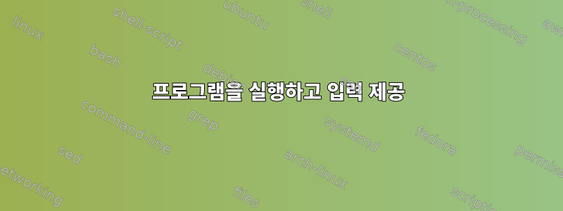 프로그램을 실행하고 입력 제공