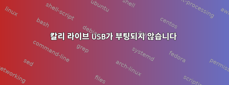 칼리 라이브 USB가 부팅되지 않습니다