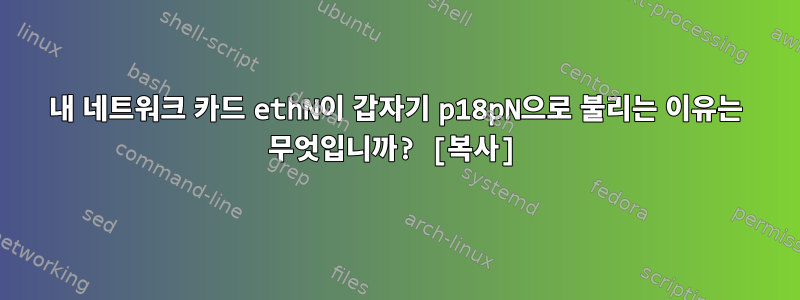 내 네트워크 카드 ethN이 갑자기 p18pN으로 불리는 이유는 무엇입니까? [복사]